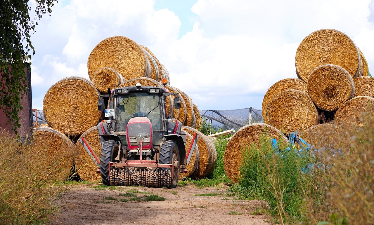 What are the Economic Benefits of Eco-Friendly Farming?